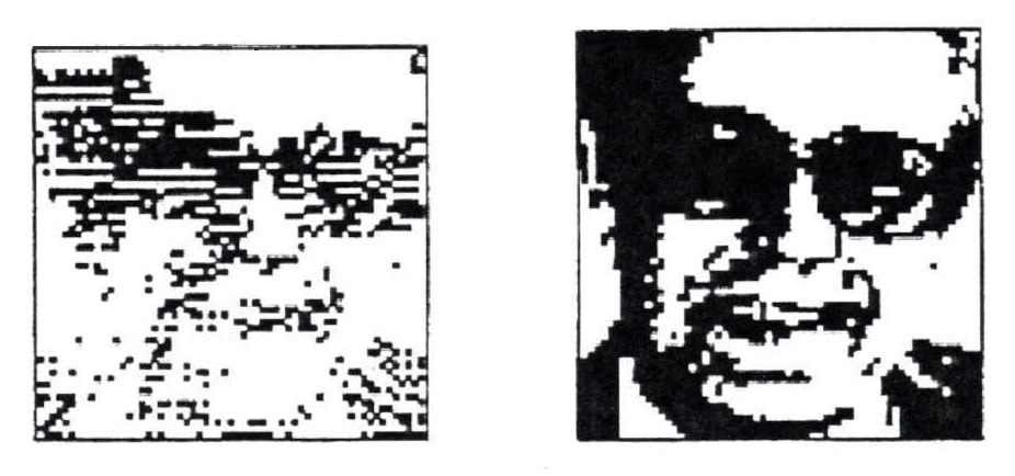 La Fersuevia Solminante